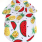 Summer Dog Clothes