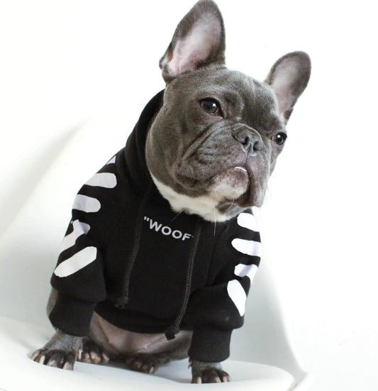 Dog Hoodie