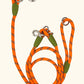 Reflective Nylon Dog Leashes