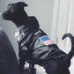 Dog Winter Clothes Windproof Dog Jacket Fashion Pet Clothing for Medium Large Dogs Labrador Reflective Dogs Clothes Ropa Perro