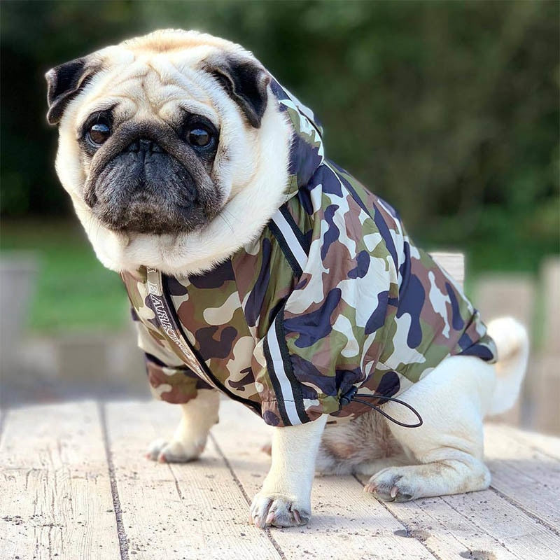 Pug dog winter clothes sale